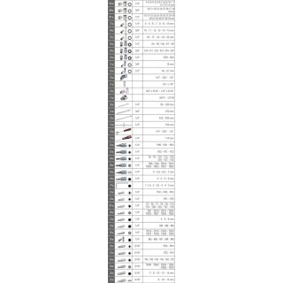 1/4 Zoll +3/8 Zoll +1/2 Zoll  CHROMEplus Steckschlüssel-Satz, 195-tlg