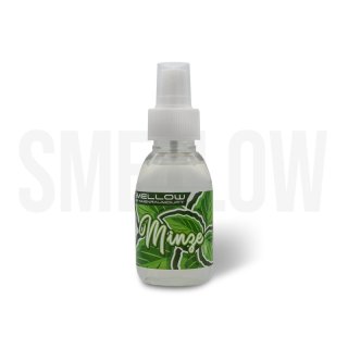 Smellow, Minze - Innenraumduft & Lufterfrischer, 100ml